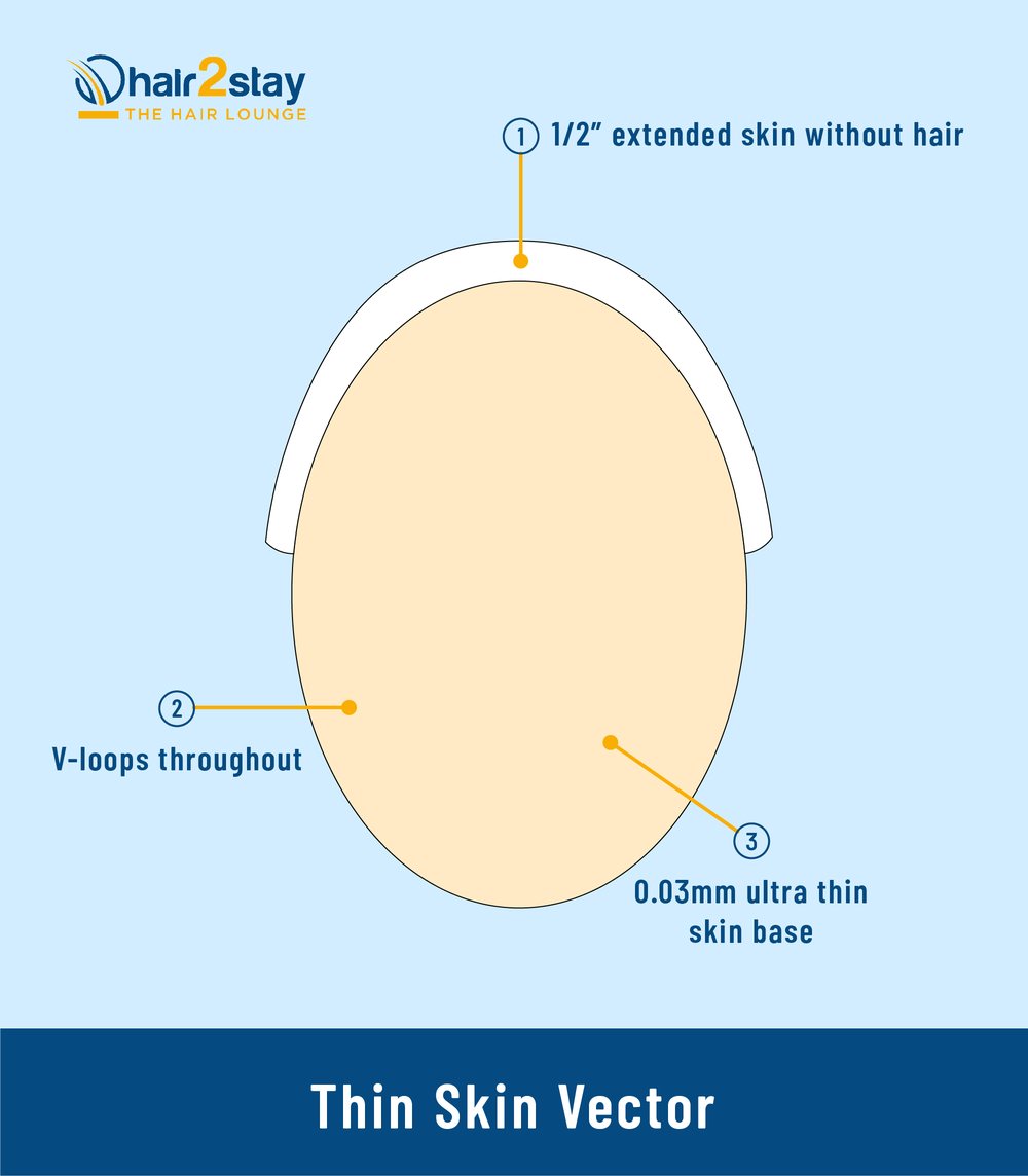 Thin skin hair system vector diagram